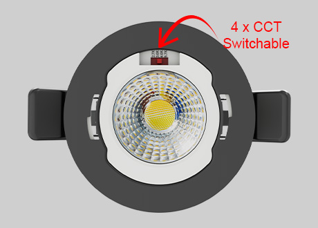 4CCT Switch Downlight