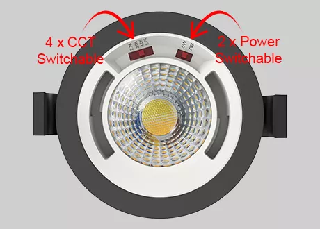  4CCT Switchable