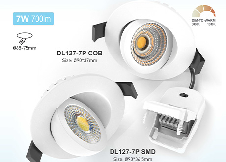 Metal Surface , COB style and SMD style LED DOWNLIGHT