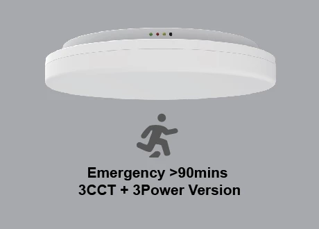 Emergency > 90 minutes ceiling lights