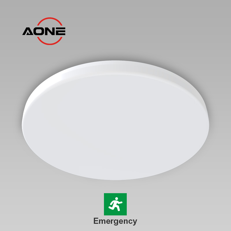 Emergency >90minutes Ceiling Light Dia420mm IP54 Slim CL42-EM