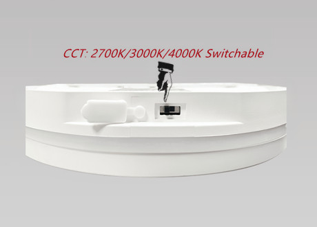 Push buckle ceiling lights