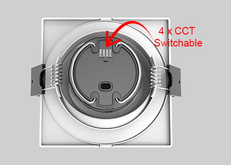 downlight spotlight CCT switchable