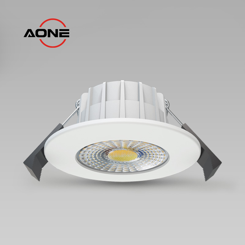 Aluminum surface Mini Downlight IP65 Multi-functional DL169