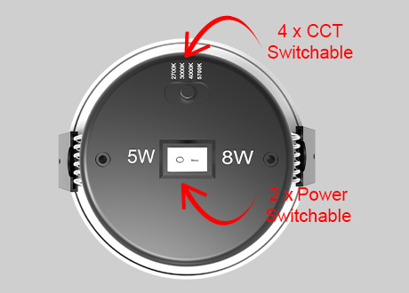 downlight spotlight CCT and power switchable