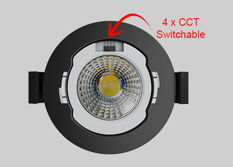  4CCT Switchable
