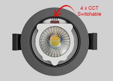 downlight spotlight CCT switchable