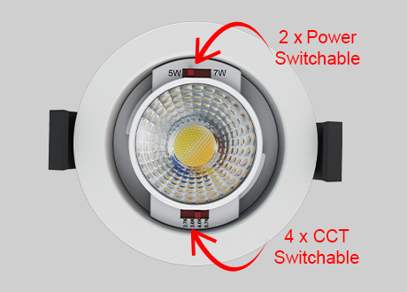 downlight spotlight power and CCT switchable