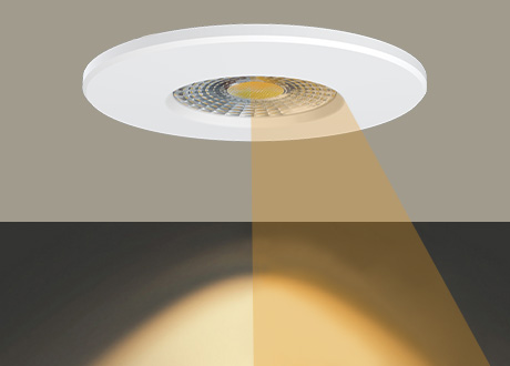 downlight lumens