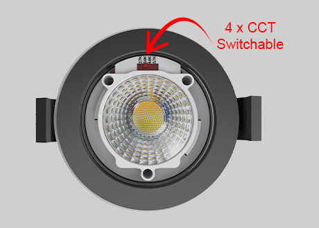 downlight spotlight CCT switchable