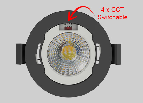 downlight spotlight CCT switchable