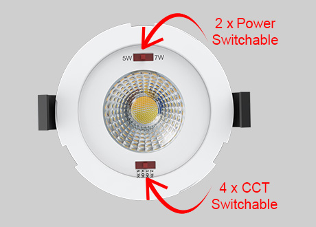 downlight spotlight CCT and power switchable