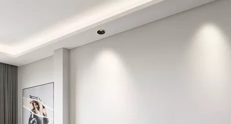 LED Flood light
