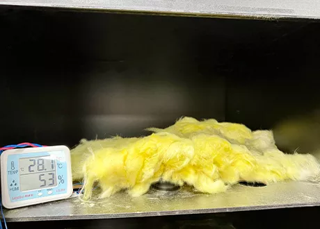 Insulation Resistance Test