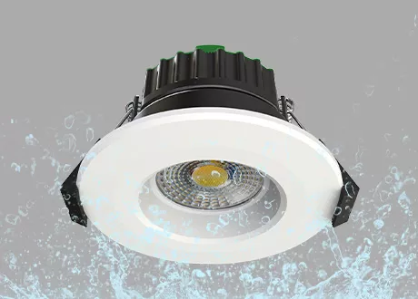 IP65 waterproof downlight spotlight
