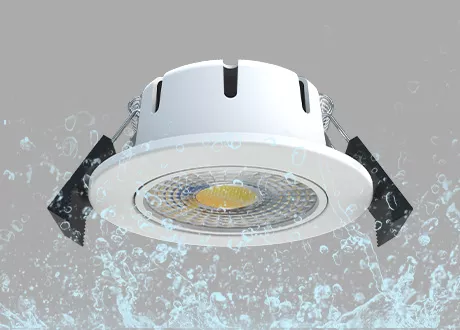 waterproof downlight/spotlight