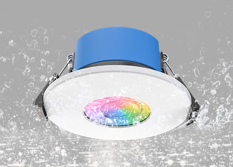 IP65 waterproof and dustproof downlight