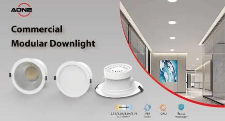 BIG MODULAR DOWNLIGHT