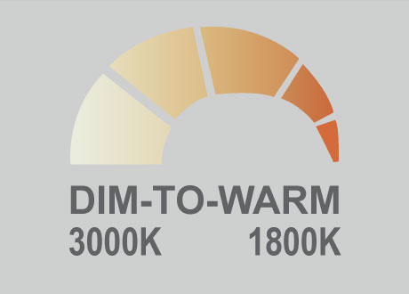 COB downlight dim to warm