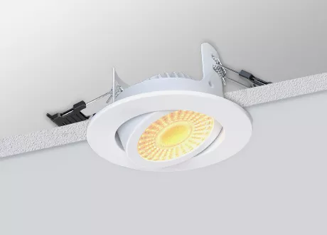 tiltable downlight fixture dimmable CCT switch 