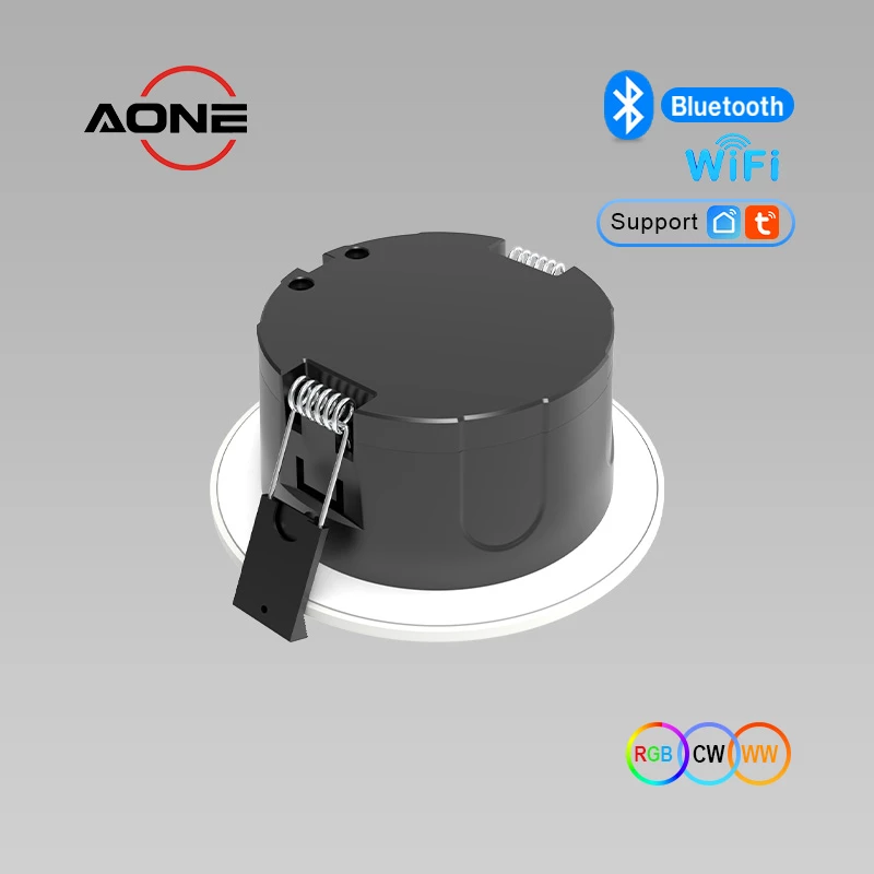 RGB and CCT tuning downlight 5