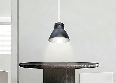 Decorative high low bay