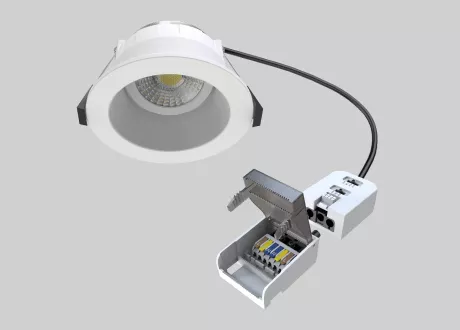 downlight isolate driver loop in/out terminal