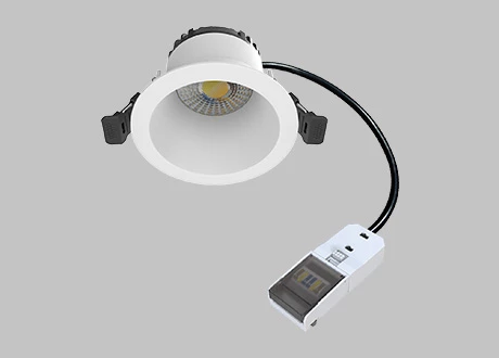 downlight isolate driver loop in/out terminal