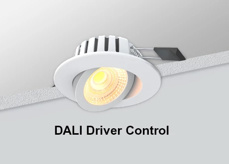 DALI Downlight COB Dimmable