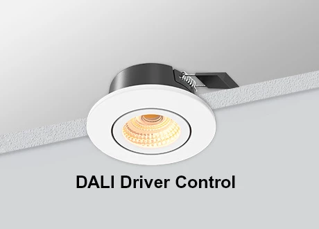 DALI Downlight COB Dimmable