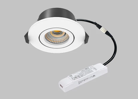 dali downlight dali-2 dimmable driver