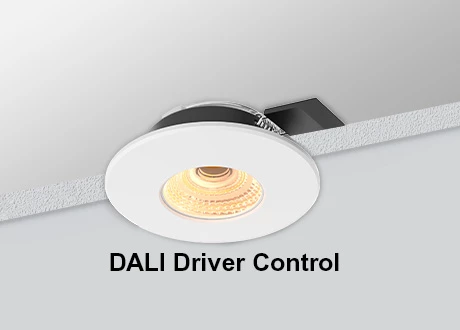DALI Downlight COB Dimmable
