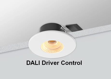 DALI Downlight COB Dimmable