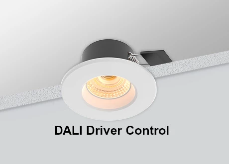 DALI Downlight low glare