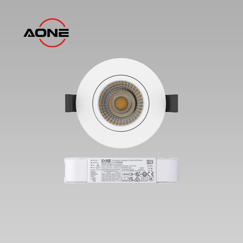 DALI Downlight CCT+DT6 dimming