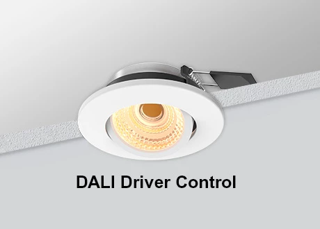 DALI Downlight Tiltable COB Dimmable