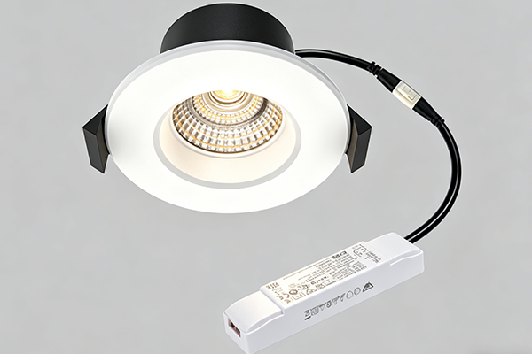 DALI Downlight DT6 & DT8 Dim Optional