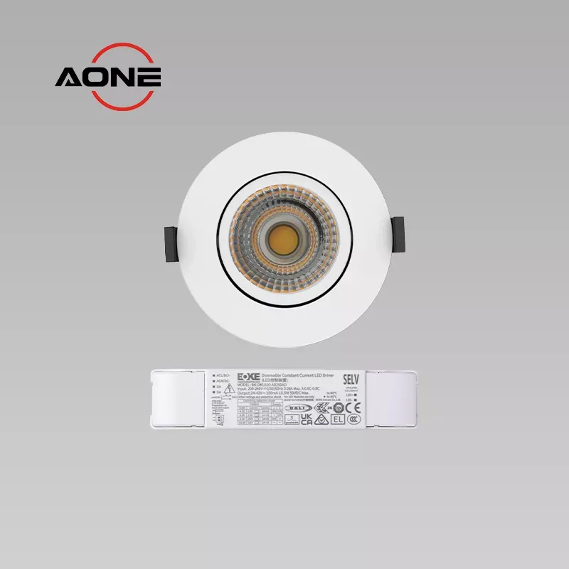 Downlight Adjustable DALI-2