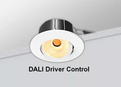 DALI Downlight Tiltable COB Dimmable