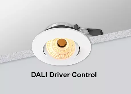DALI Downlight Tiltable COB Dimmable