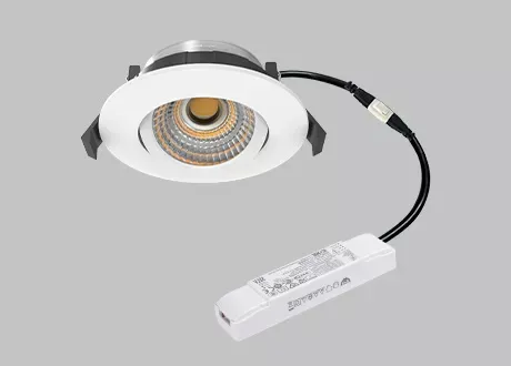 dali downlight dali-2 dimmable driver