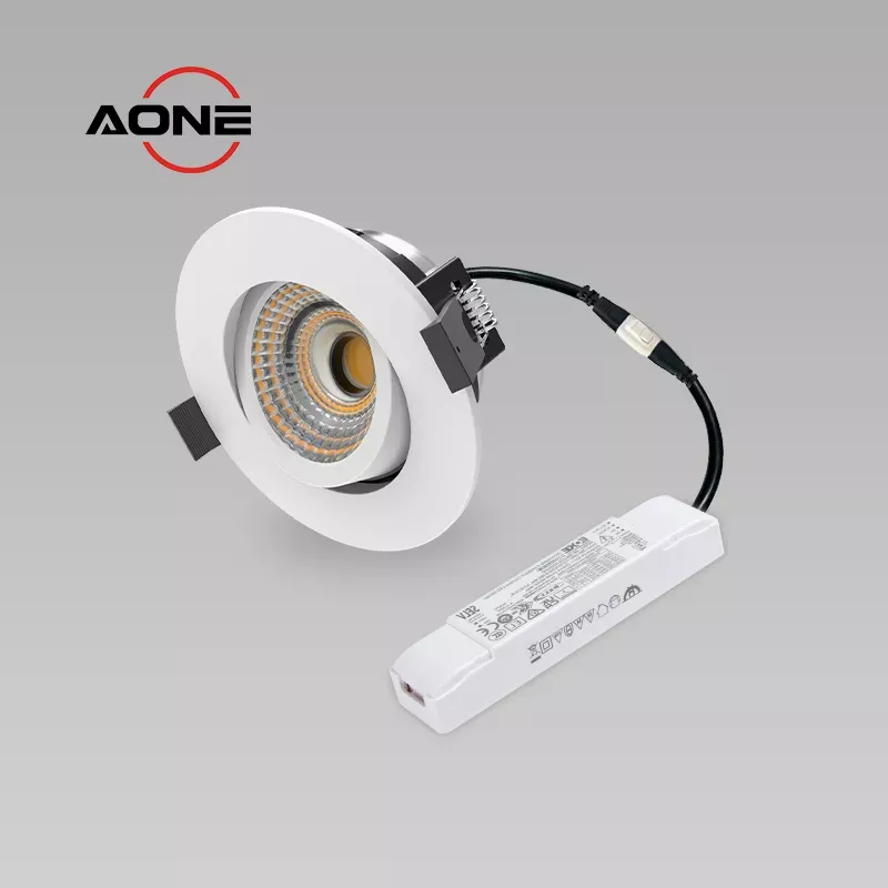 IP65 Slim Tiltable Downlight DALI Dimming Airtight RE2020 COB CRI>90+ DL165