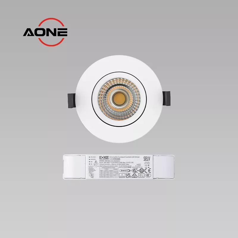 COB Tiltable IP65 Downlight