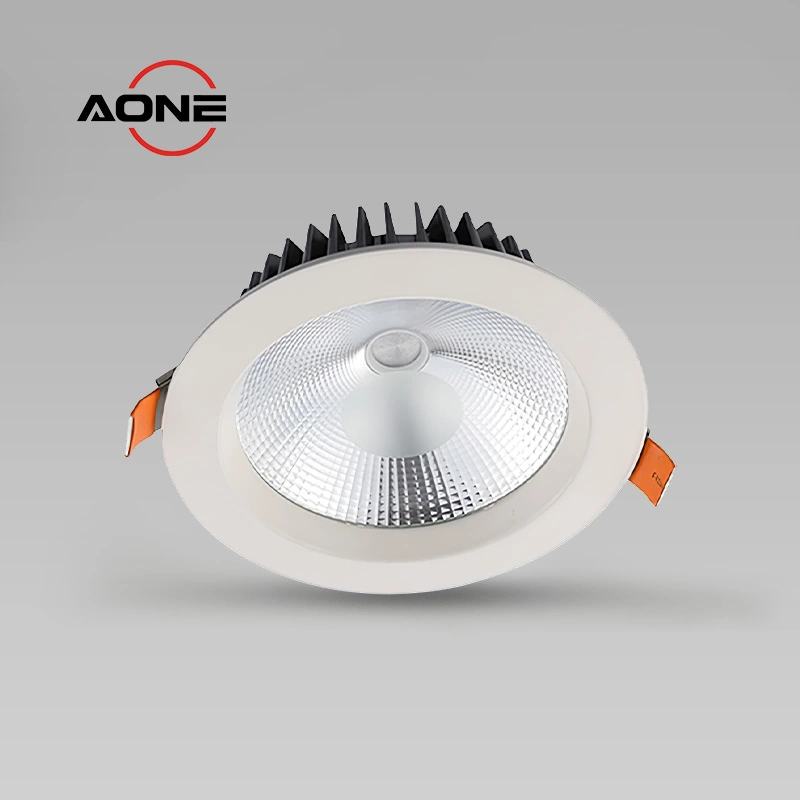 China Downlight Manufacturer