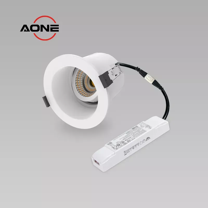 Anti Glare IP65 Tiltable Downlight DALI Dimming Airtight RE2020 COB CRI>90+ DL162
