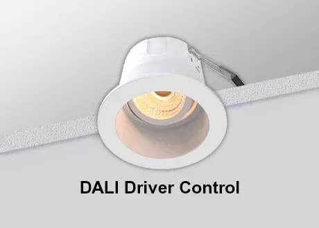 DALI Downlight Tiltable COB Dimmable