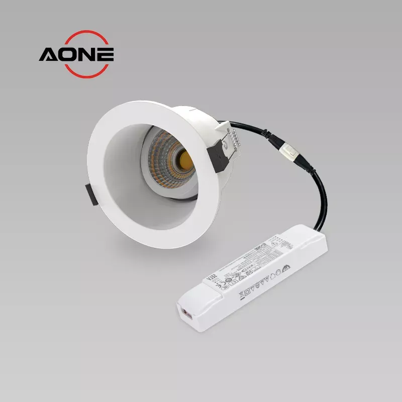 Anti Glare IP65 Adjustable COB Downlight DALI Dimming Air-tight RE2020 CRI>90+ DL163