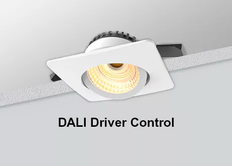 Square Downlight DALI Tiltable COB Dimmable