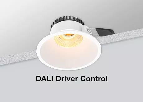Square Downlight DALI Tiltable COB Dimmable
