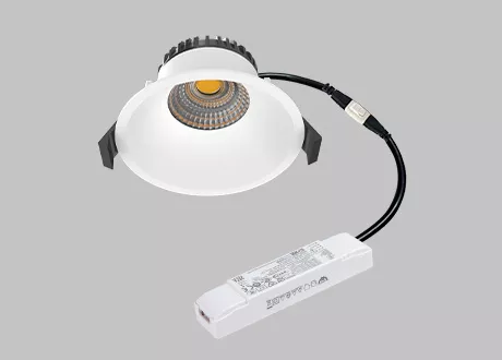 dali downlight dali-2 dimmable driver